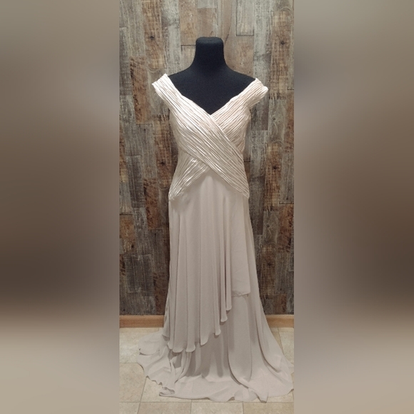 NWT URSULA OF SWITZERLAND CHAMPAGNE CHIFFON MOTHER OF BRIDE GOWN DRESS SZ 12 NEW - Picture 1 of 6